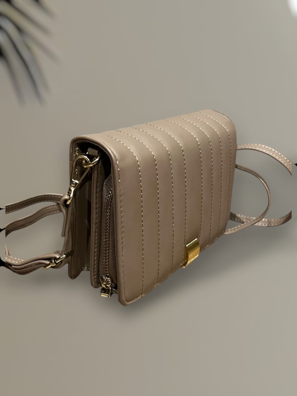 Beige Wallet Crossbody